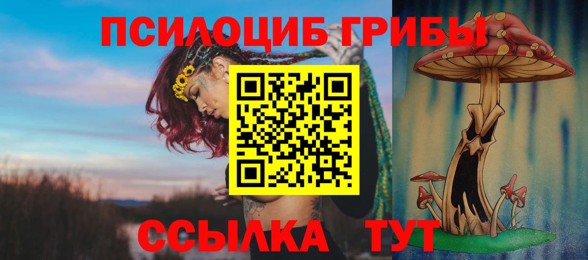 Галлюциногенные грибы Magic Shrooms Протвино